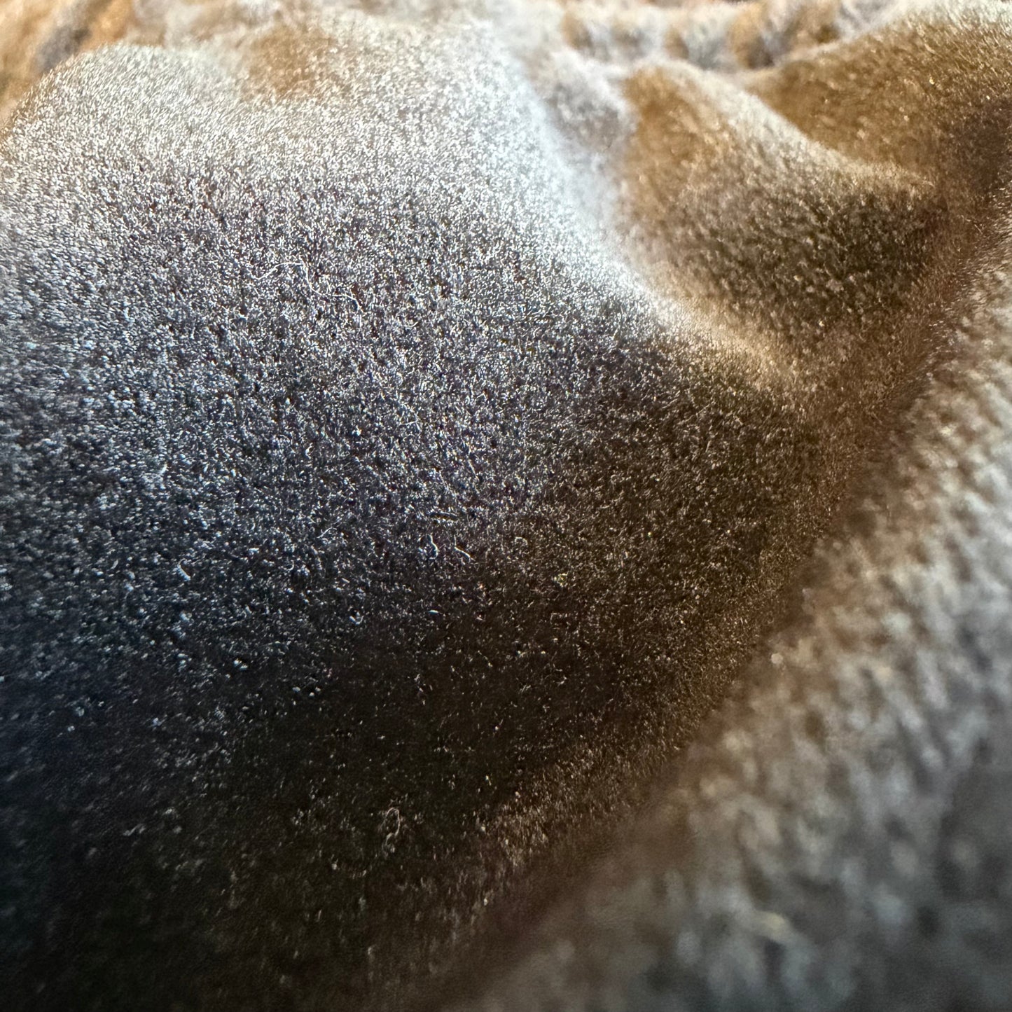 Velvet booty shorts by Drip Drop Labs featuring a snug fit and soft fabric, shown in a stylish close-up image.